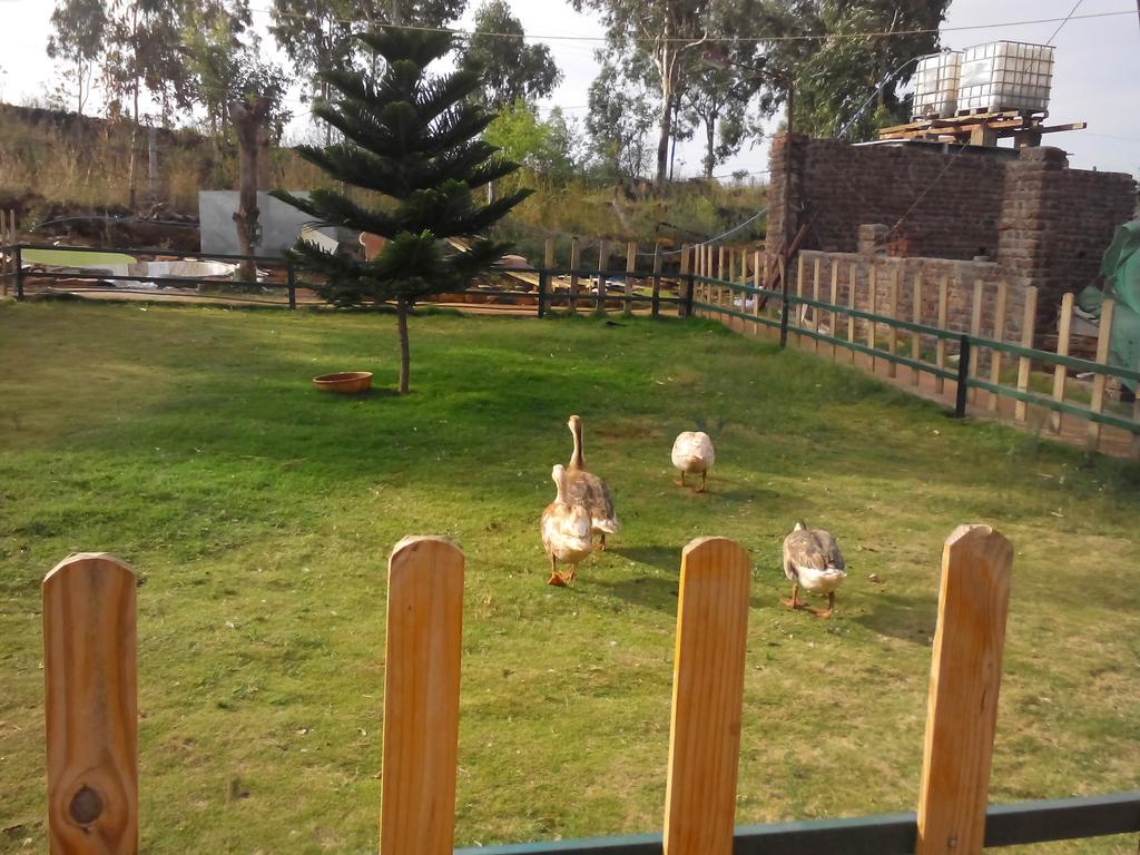 Strawberry Hills Resort Panchgani Exterior photo